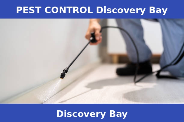 PEST CONTROL Discovery Bay